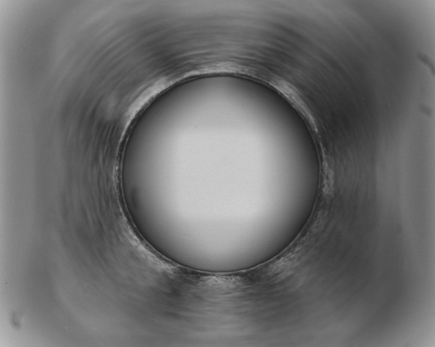 X0000103150805200809051636