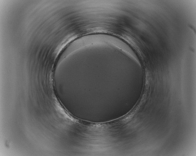 X0000103150806200809051636