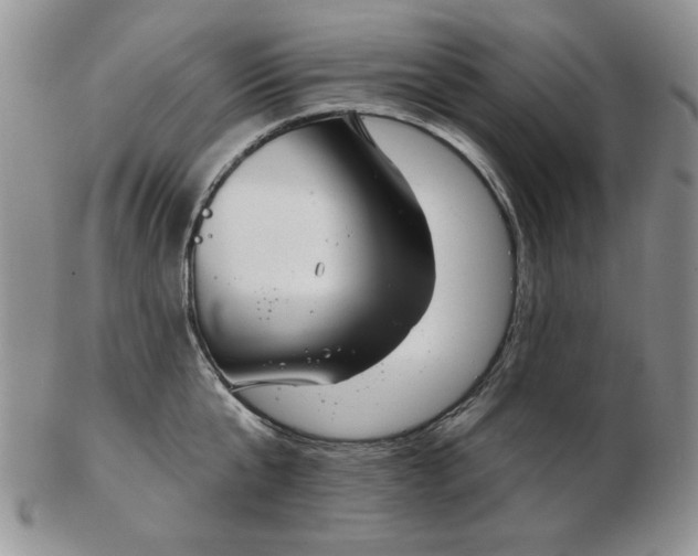 X0000103150807200809051636