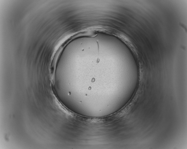 X0000103150808200809051636