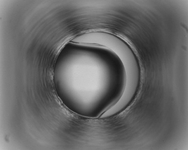 X0000103150809200809051636