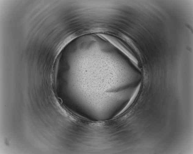 X0000103150810200809051636