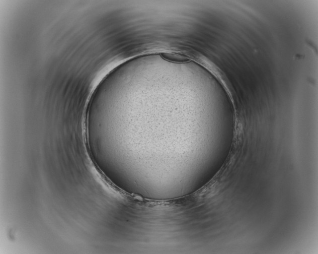 X0000103150811200809051636