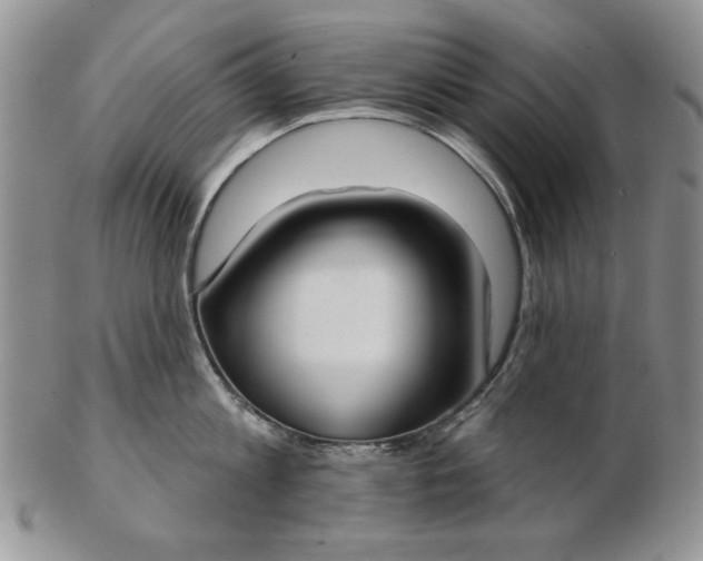 X0000103150813200809051636