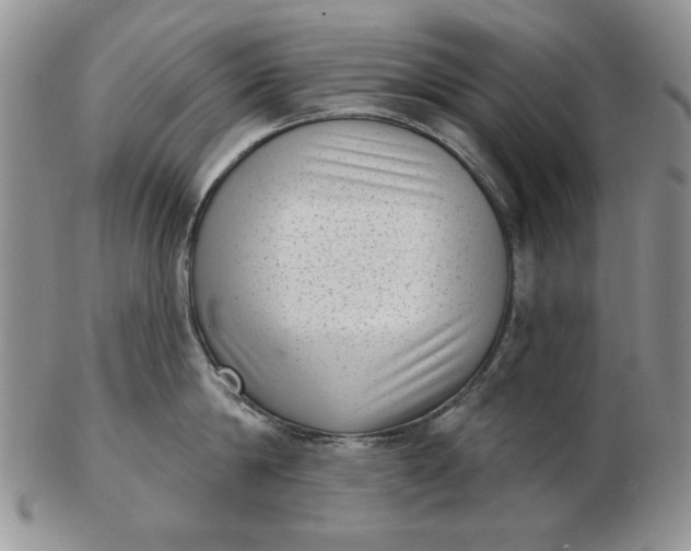 X0000103150814200809051636