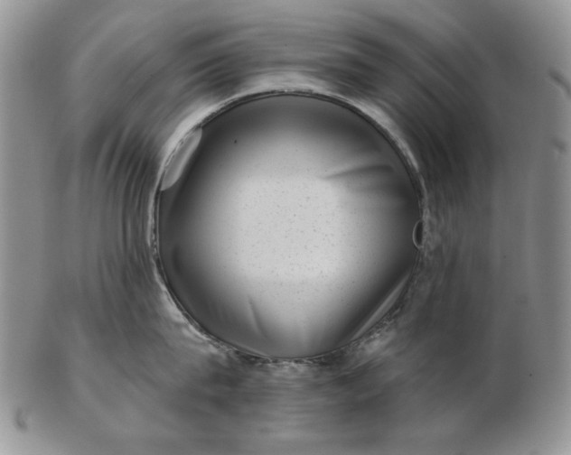 X0000103150815200809051636