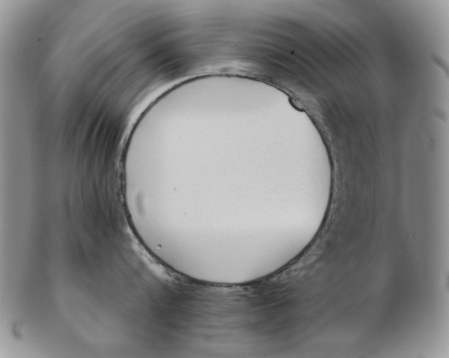 X0000103150816200809051636