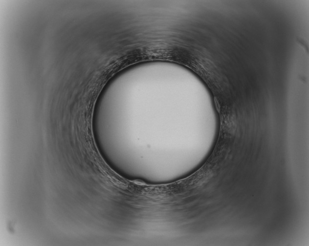 X0000103150817200809051635