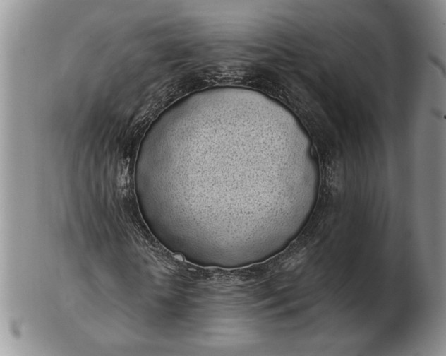 X0000103150818200809051635