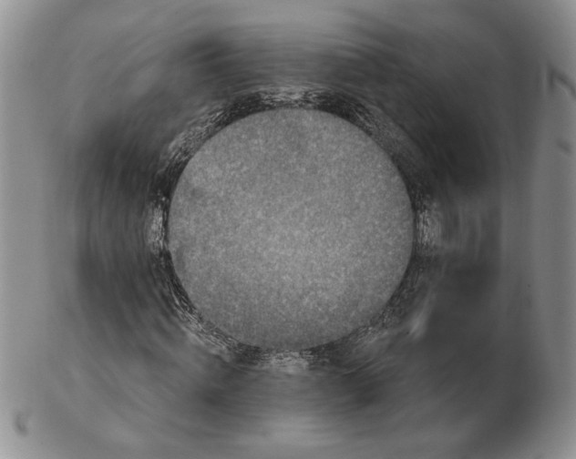 X0000103150820200809051635