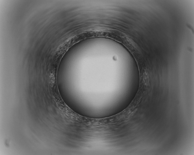 X0000103150821200809051635