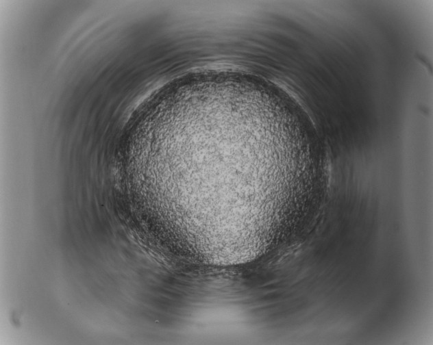 X0000103150823200809051635