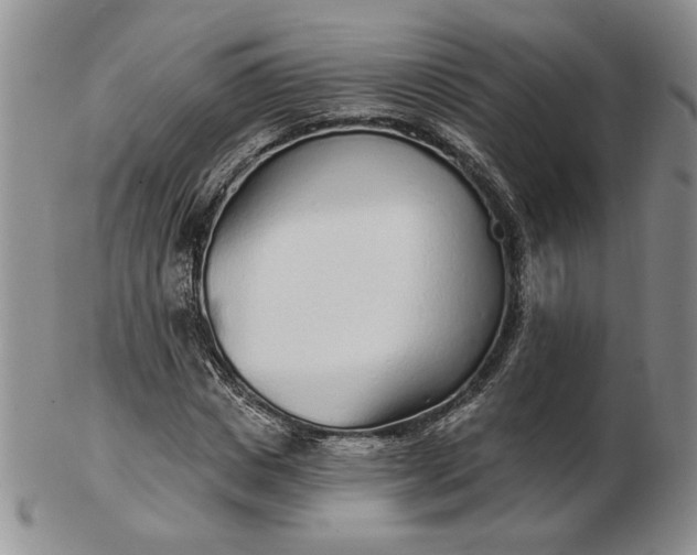 X0000103150825200809051635