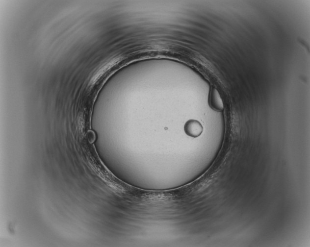 X0000103150826200809051635