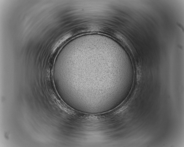 X0000103150827200809051635