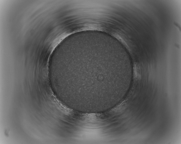 X0000103150828200809051635