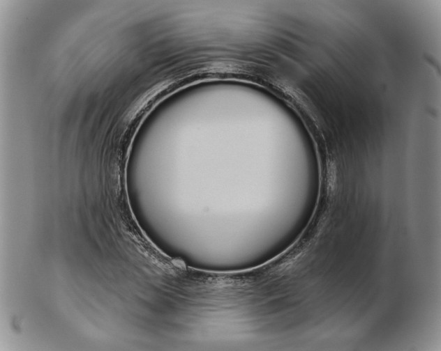 X0000103150829200809051635