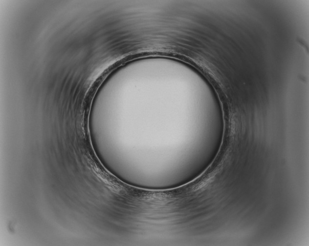 X0000103150830200809051635