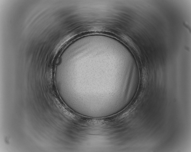 X0000103150831200809051635