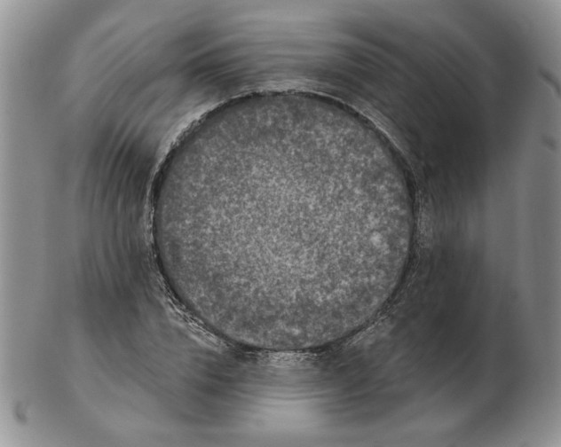 X0000103150832200809051635