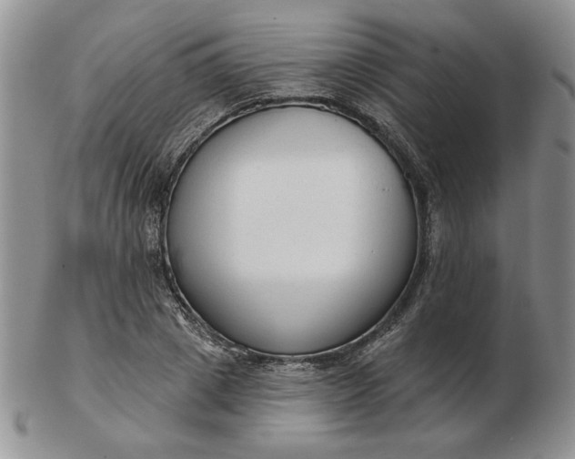 X0000103150833200809051635