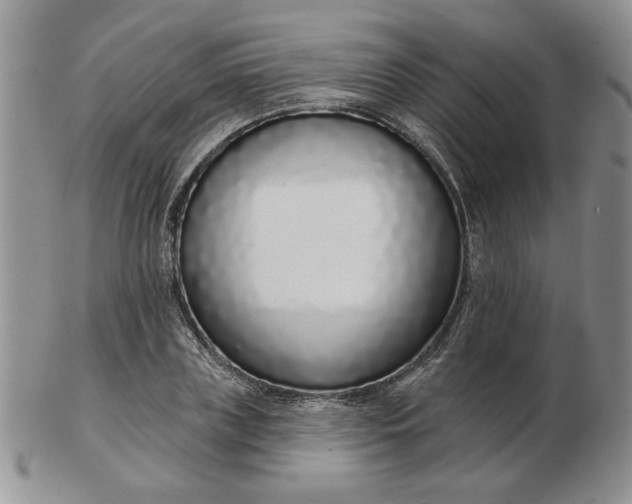 X0000103150835200809051635