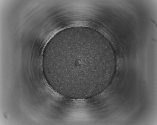 X0000103150836200809051635