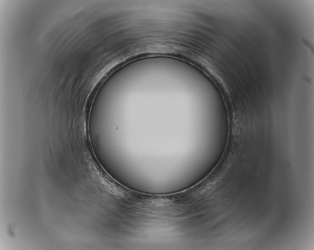 X0000103150837200809051635