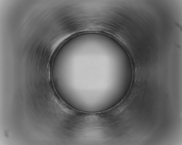 X0000103150838200809051635