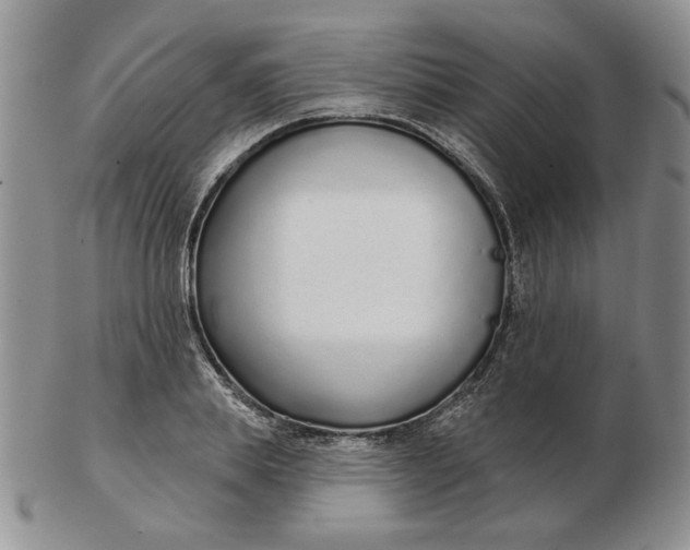 X0000103150839200809051635