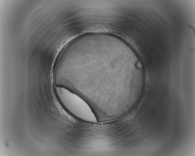 X0000103150840200809051635