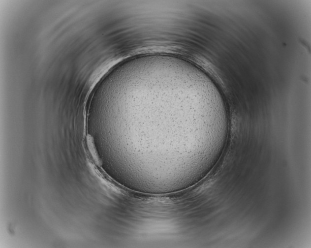 X0000103150844200809051635