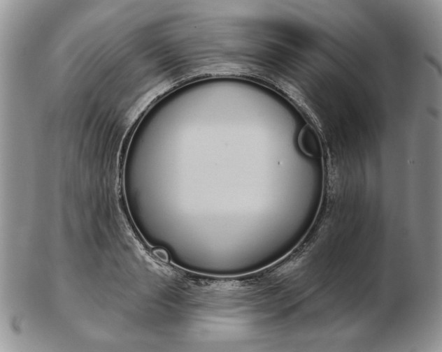 X0000103150845200809051635