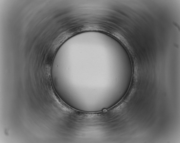 X0000103150849200809051636