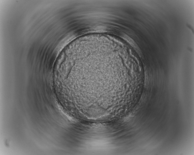 X0000103150850200809051636