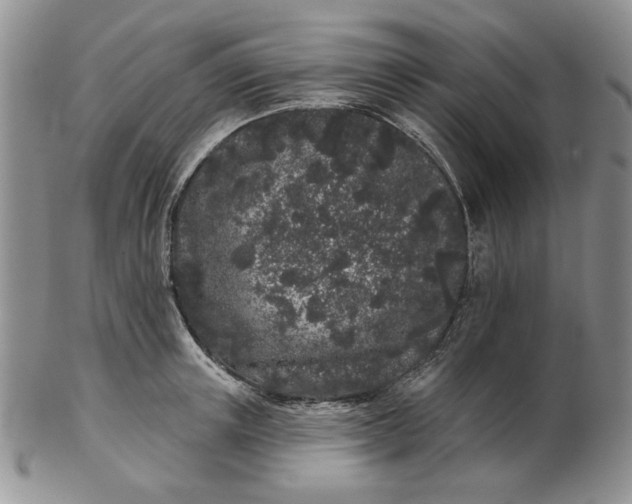 X0000103150851200809051636