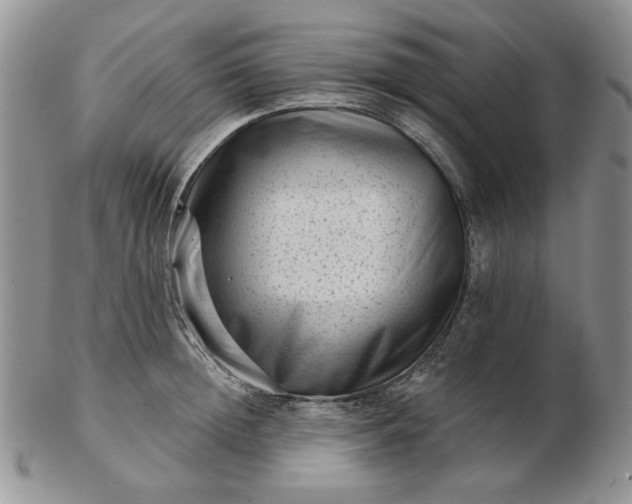 X0000103150852200809051636