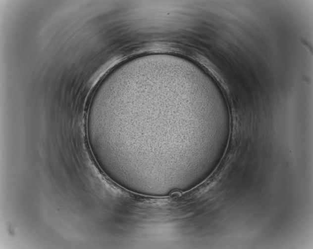 X0000103150853200809051636