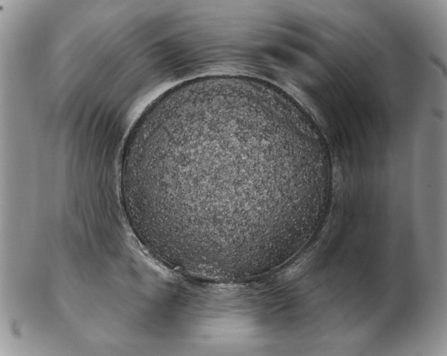 X0000103150854200809051636