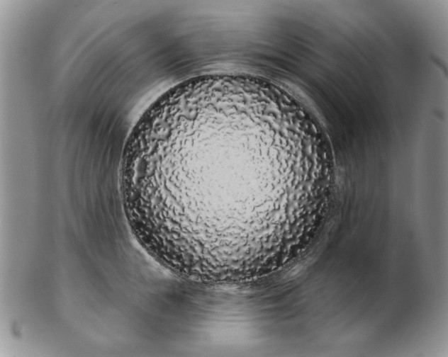 X0000103150855200809051636