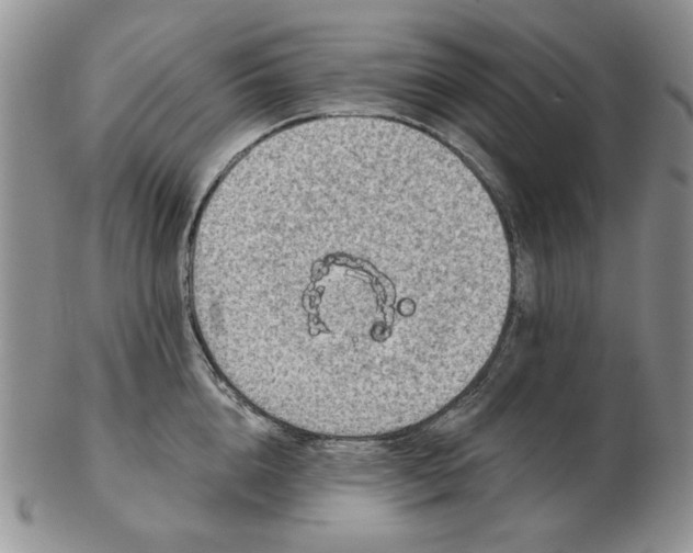 X0000103150856200809051636