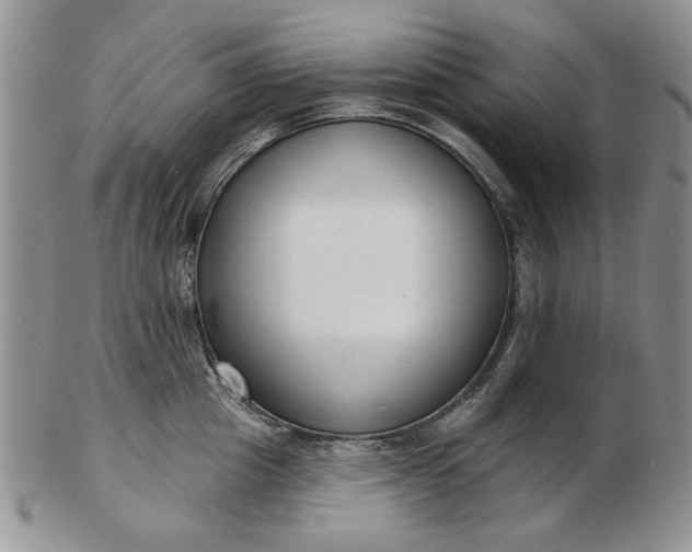 X0000103150857200809051636