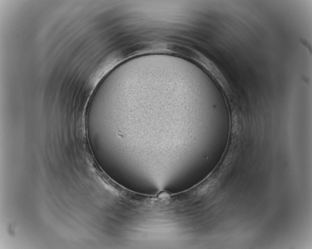 X0000103150858200809051636