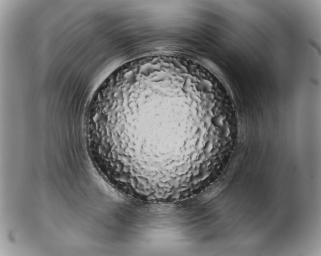 X0000103150859200809051636