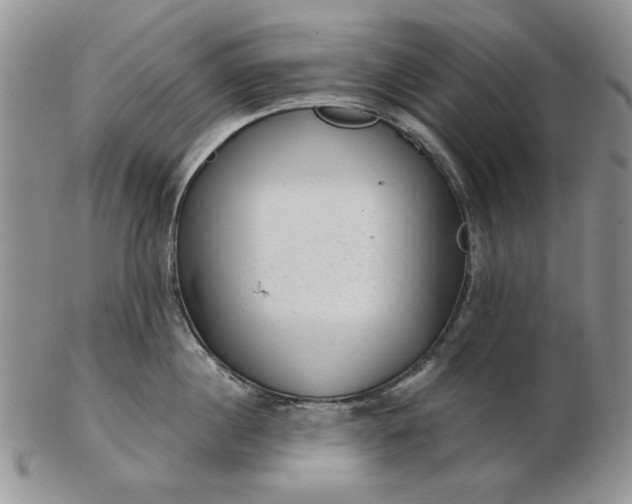 X0000103150860200809051636