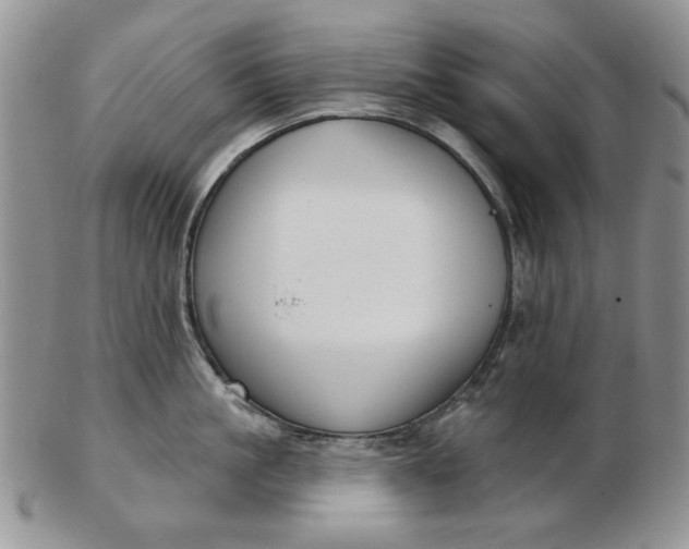 X0000103150861200809051636