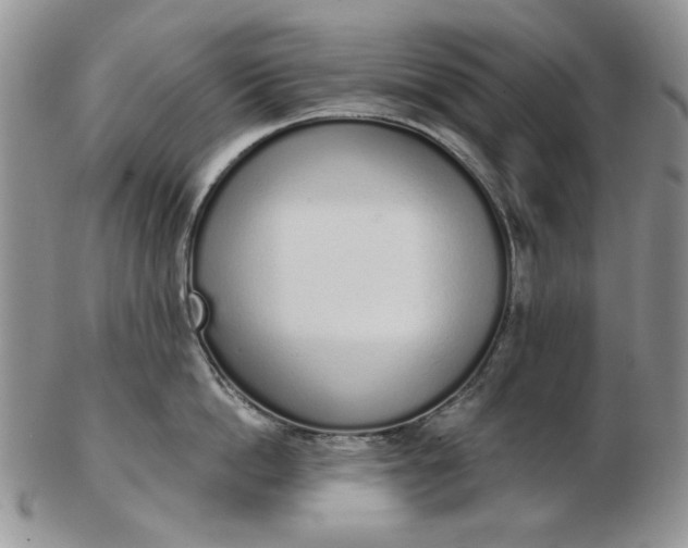 X0000103150862200809051636