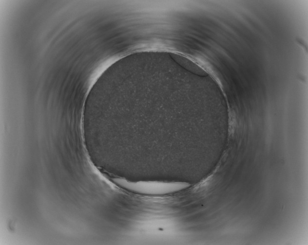 X0000103150863200809051636