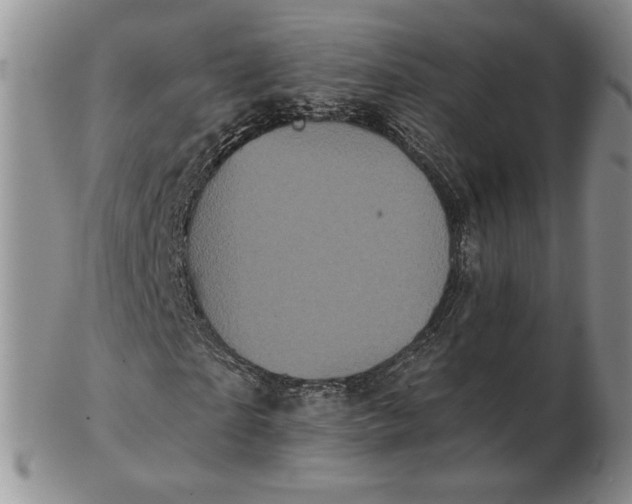 X0000103150865200809051635