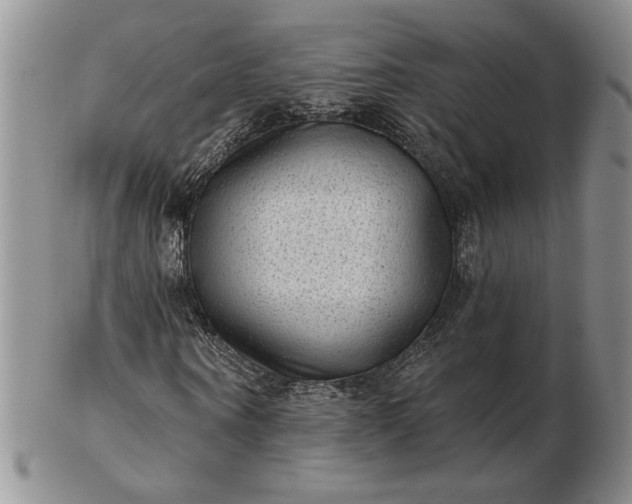 X0000103150866200809051635